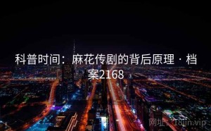 科普时间：麻花传剧的背后原理 · 档案2168