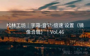 松林工坊｜字幕-音轨-倍速 设置（镜像合辑）｜Vol.46