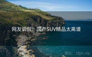 网友调侃：国产SUV精品太离谱
