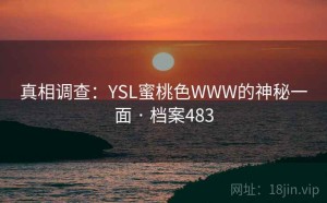 真相调查：YSL蜜桃色WWW的神秘一面 · 档案483