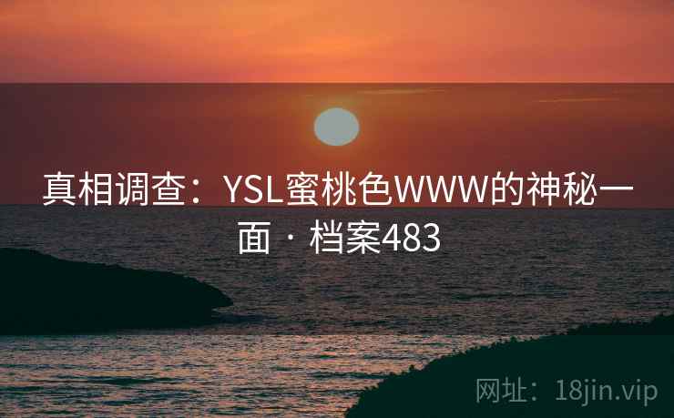真相调查：YSL蜜桃色WWW的神秘一面 · 档案483