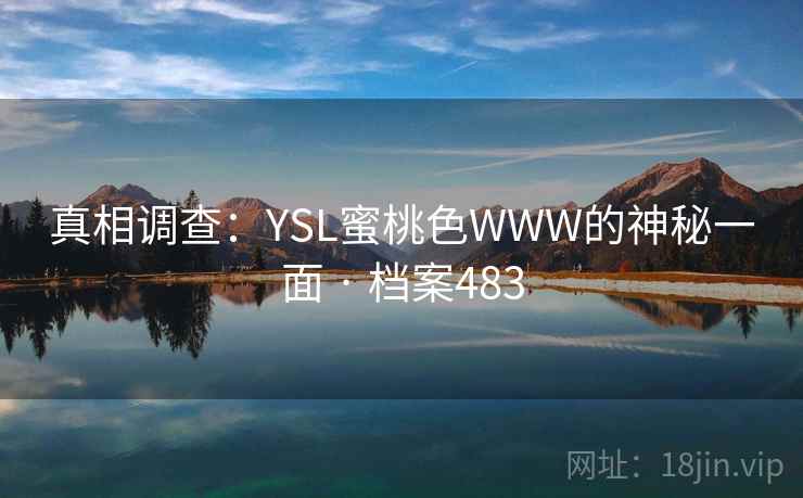 真相调查：YSL蜜桃色WWW的神秘一面 · 档案483