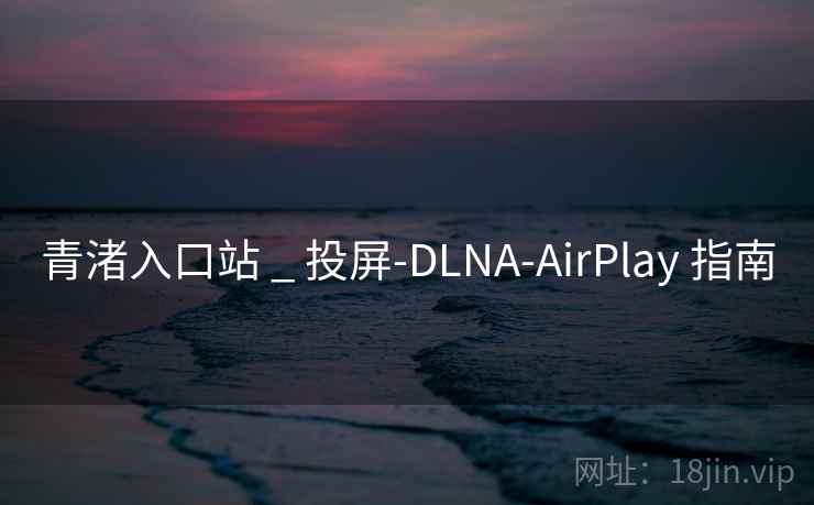 青渚入口站 _ 投屏-DLNA-AirPlay 指南 青渚入口站 _ 投屏-DLNA-AirPlay 指南