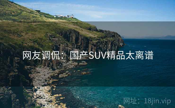 网友调侃:国产SUV精品太离谱 网友调侃:国产SUV精品太离谱