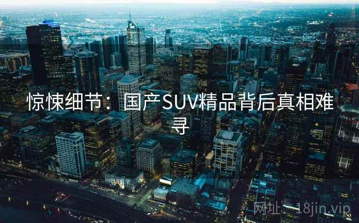 惊悚细节:国产SUV精品背后真相难寻 惊悚细节:国产SUV精品背后真相难寻